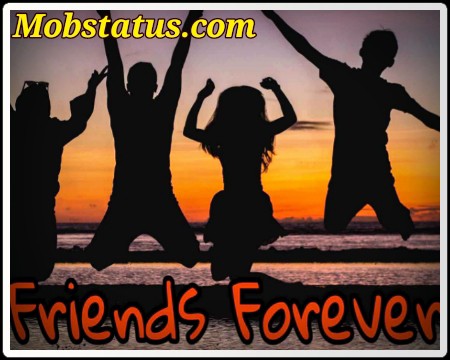 Best Friendship Status Video Download For whatsapp | MobStatus