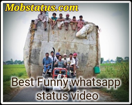Best Funny Whatsapp Status Video Download | MobStatus