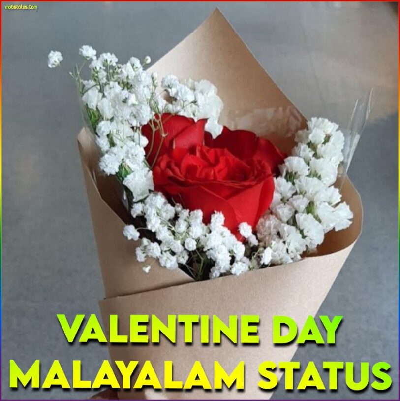 valentines day status video malayalam