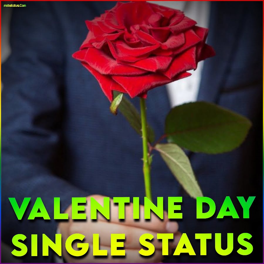 Valentine Day Single Whatsapp Status Video Download, HD
