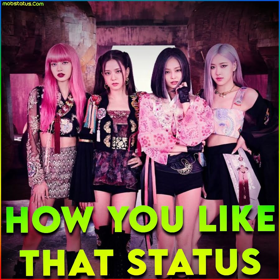 Blackpink How You Like That Status Video