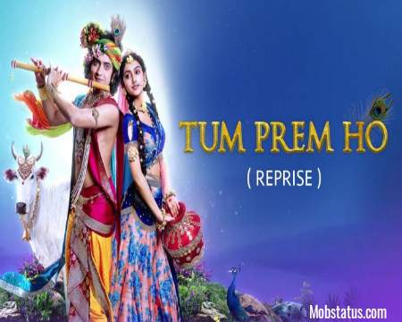 Tum Prem Ho Tum Preet Ho Song Status Video