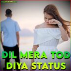 Dil Mera Tod Diya Usne Whatsapp Status Video
