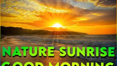 Best Nature Sunrise Good Morning Whatsapp Status Video