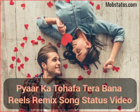 Pyaar Ka Tohafa Tera Bana Reels Remix Song Status Video