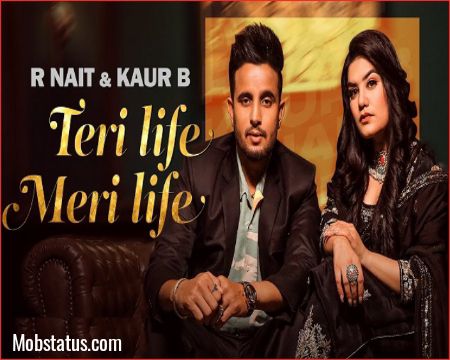 Teri Life Meri Life R Nait Punjabi Song Status Video