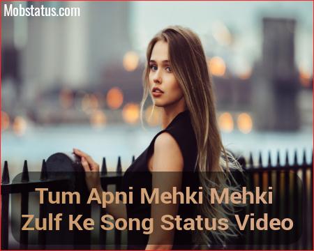 Tum Apni Mehki Mehki Zulf Ke Song Status Video