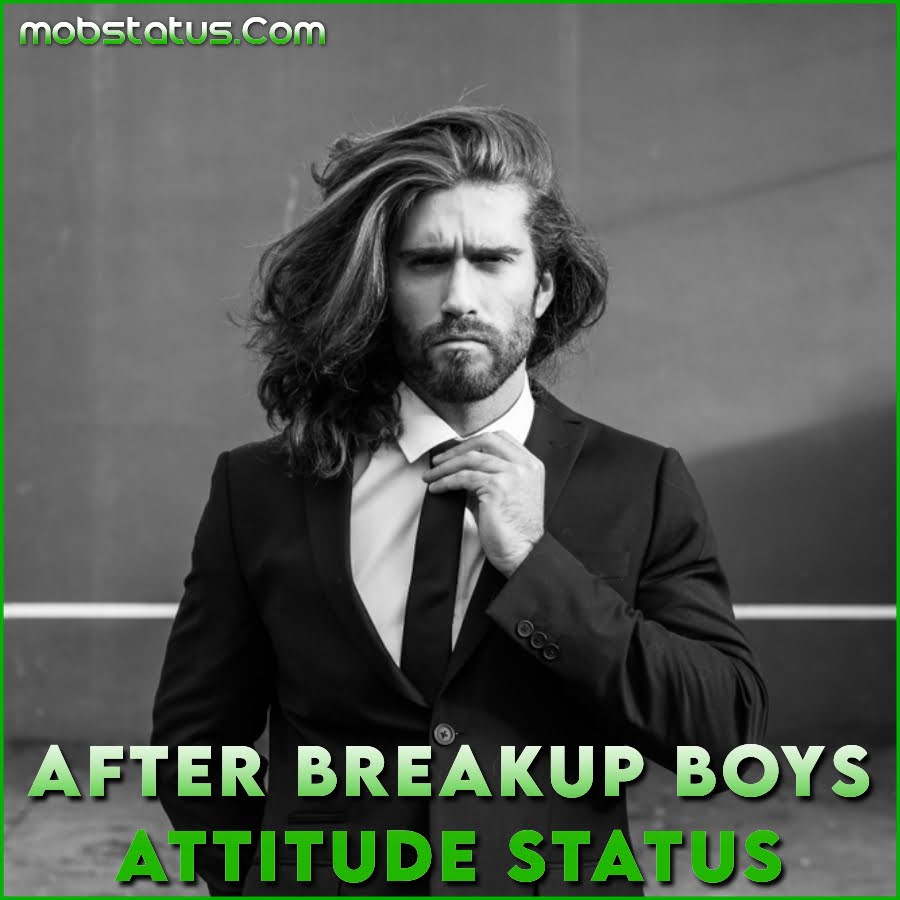 After Breakup Boys Attitude Whatsapp Status Video