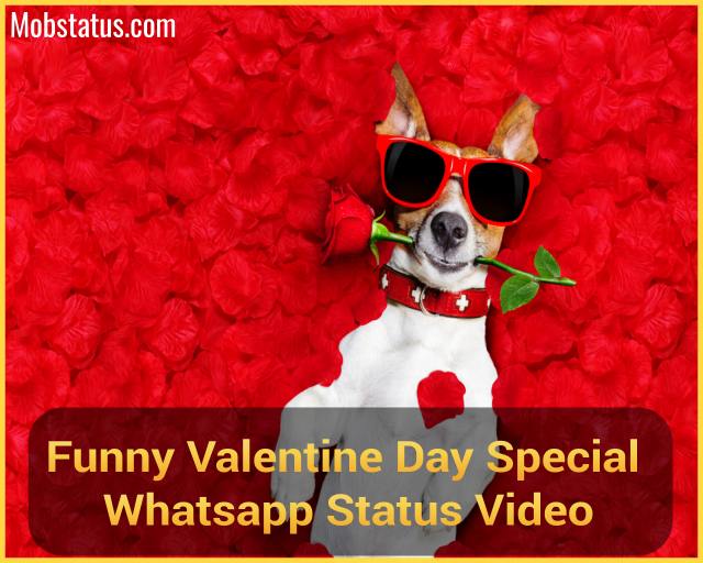Funny Valentine Day Special Whatsapp Status Video