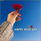 7 February 2023 Happy Rose Day Whatsapp Status Video