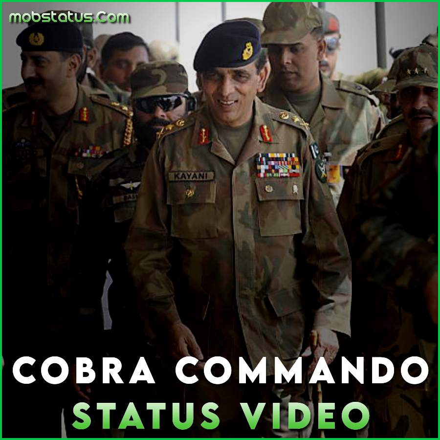 Cobra Commando Status Video