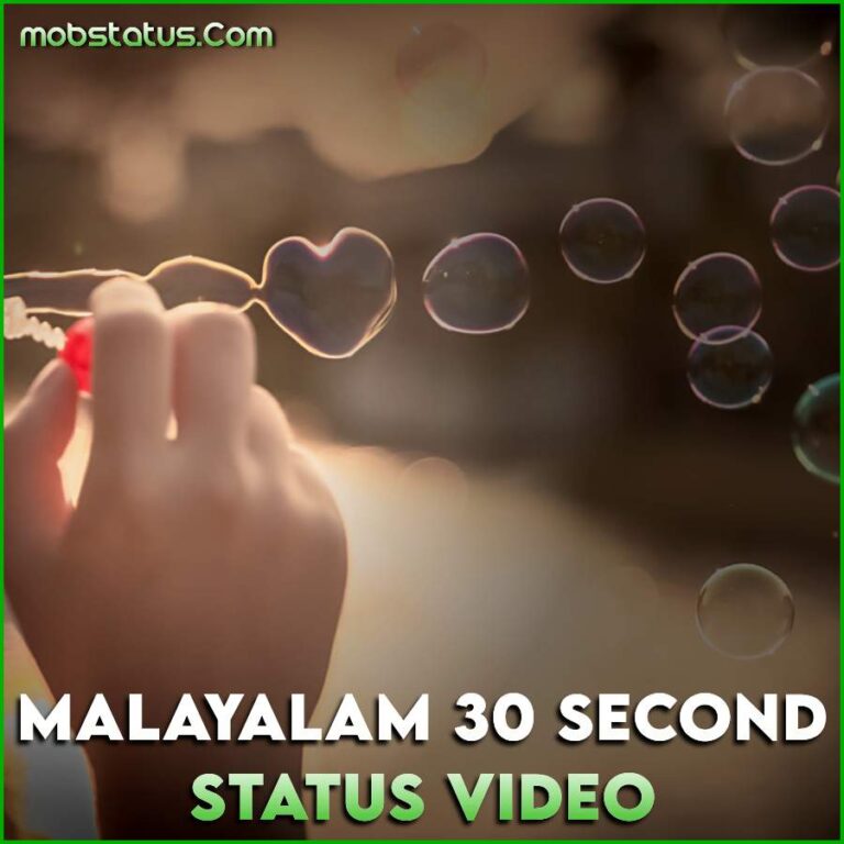 30 seconds whatsapp status video download mirchifun com