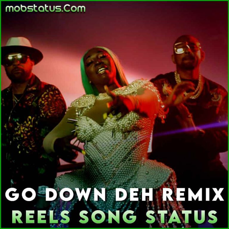 Go Down Deh Remix Instagram Reels Song Status Download 