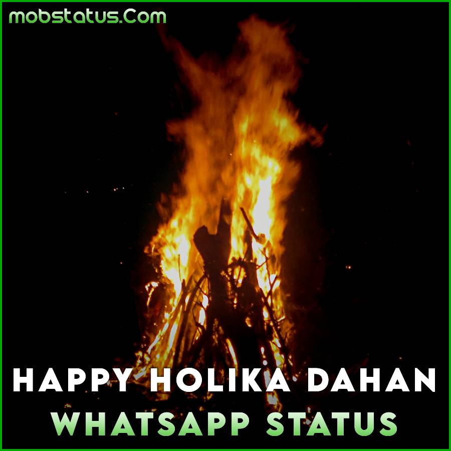 Happy Holika Dahan 2023 Whatsapp Status Video