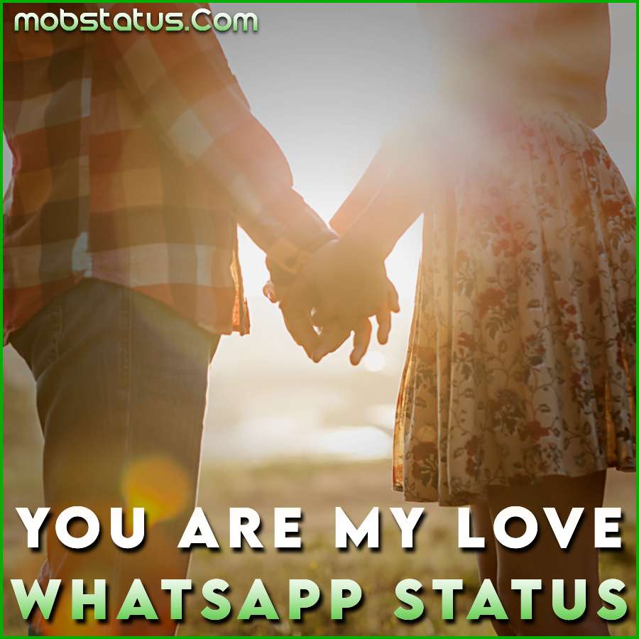 You Are My Love Whatsapp Status Video