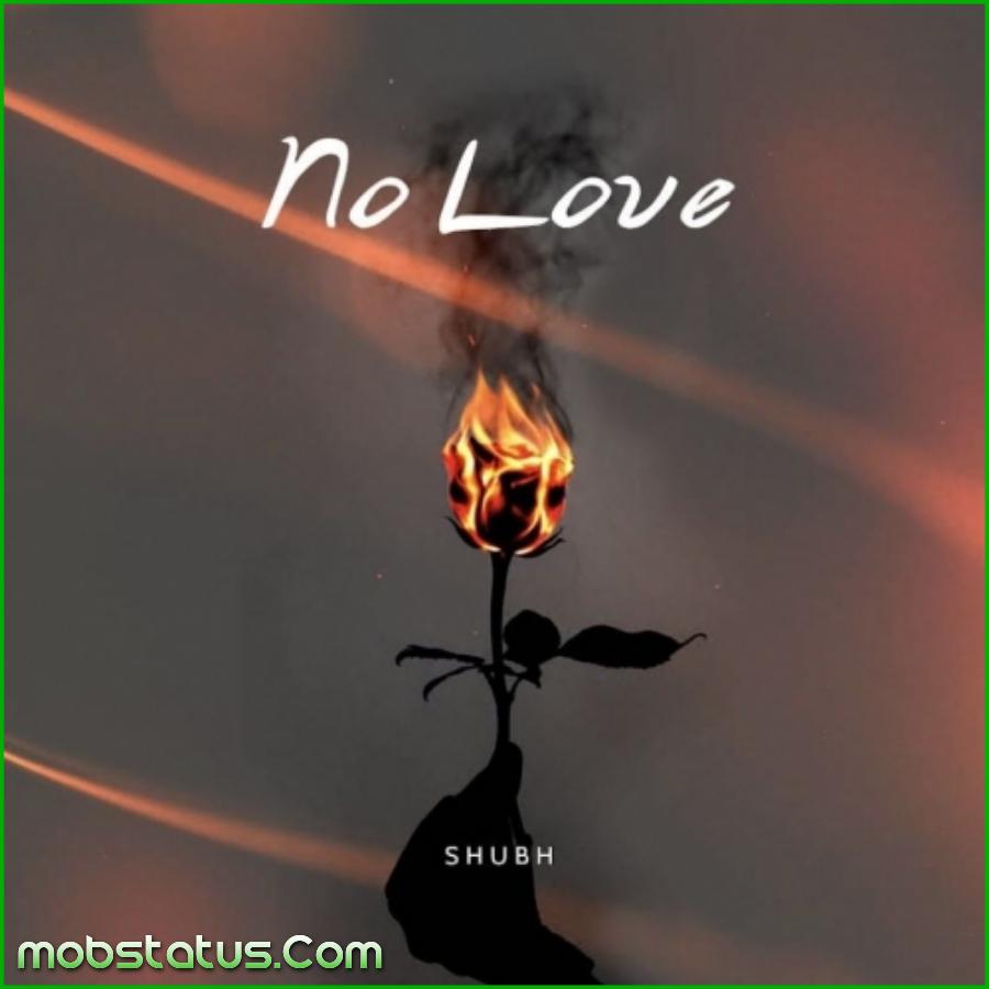 No Love Shubh Song Status Video