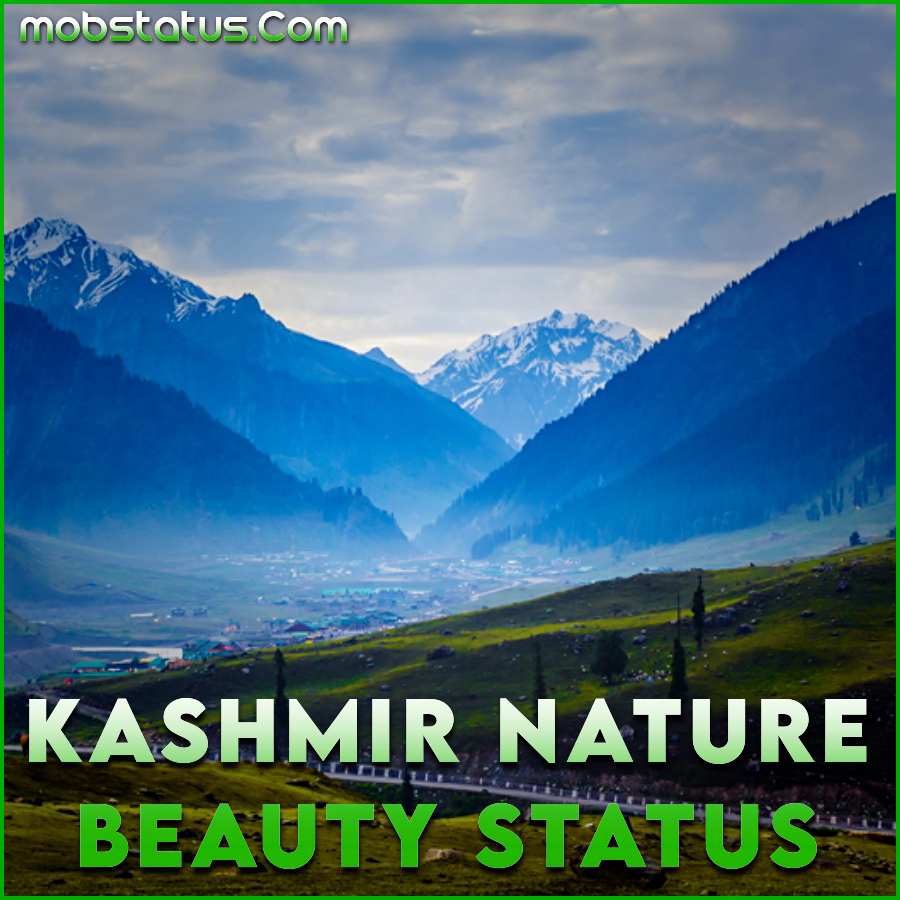 Kashmir Nature Beauty Status Video Download | MobStatus