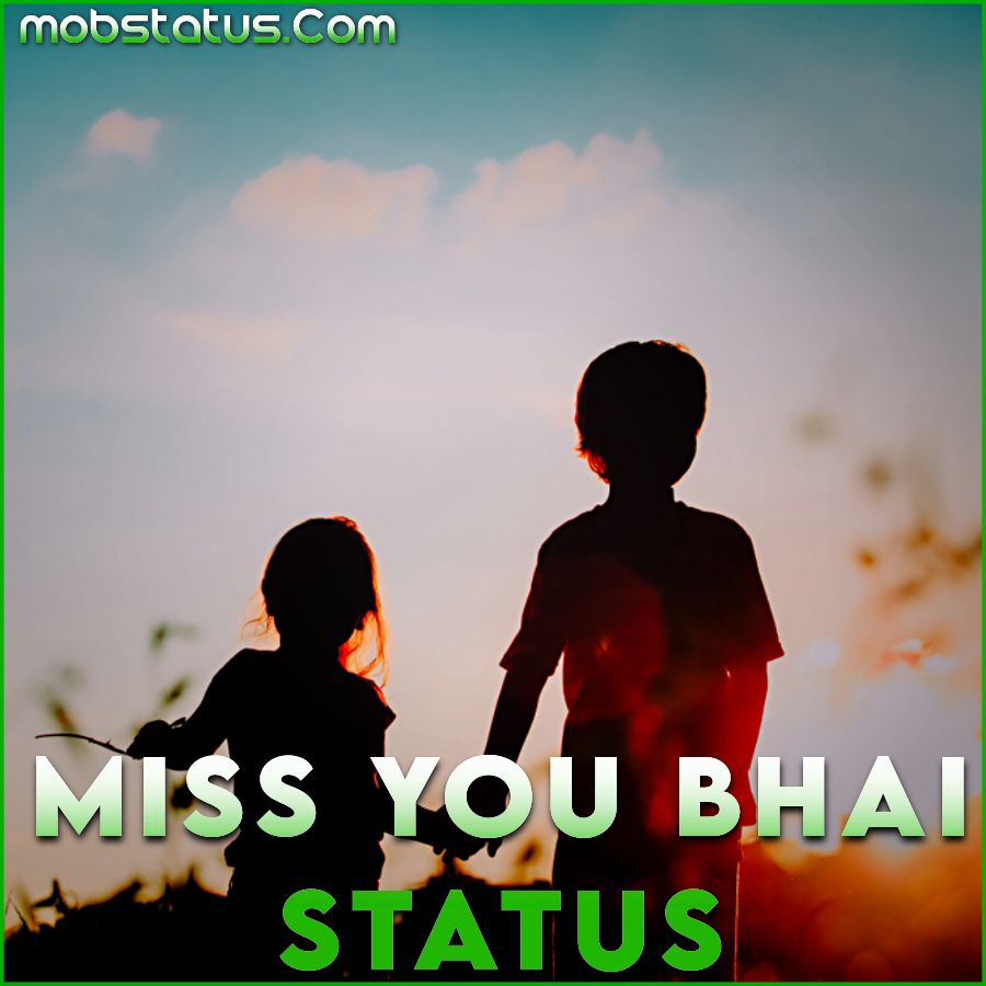 Miss You Bhai Status Video