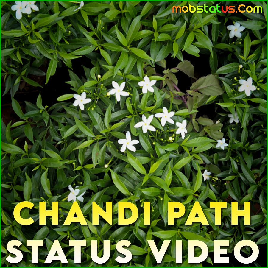 Chandi Path WhatsApp Status Video