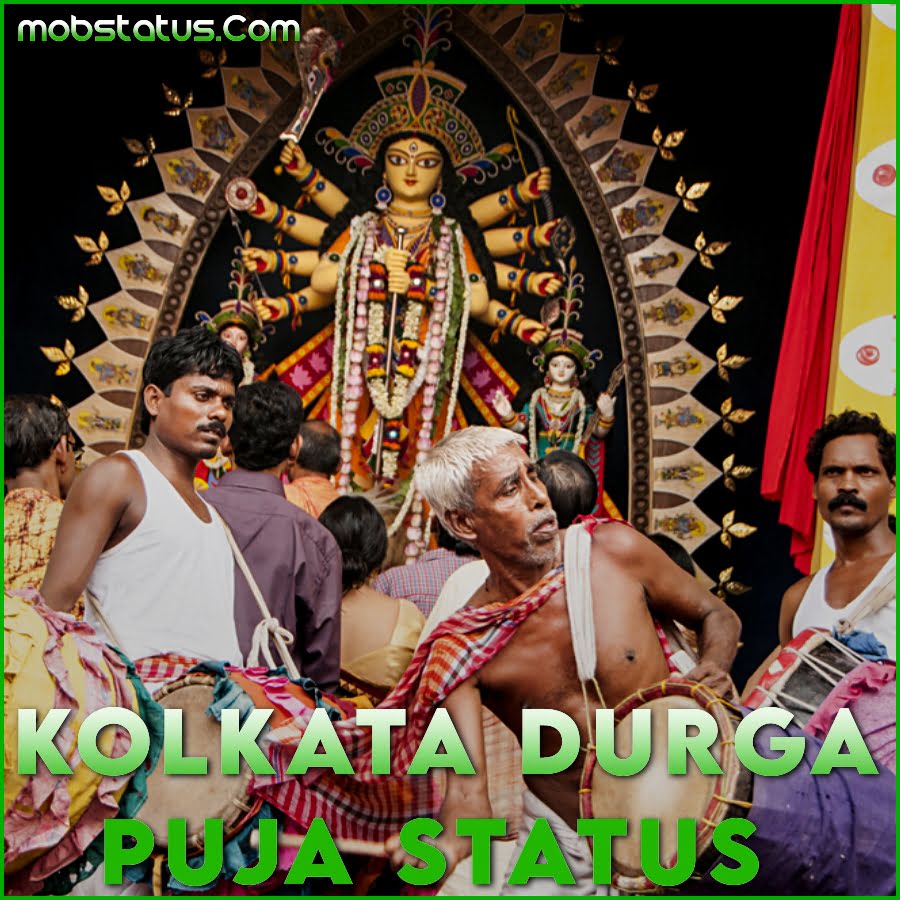 Kolkata Durga Puja Status Video