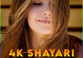 4k Shayari Status Video Full Screen
