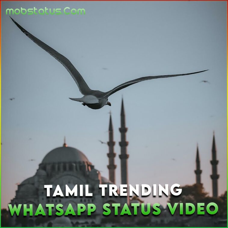 tamil new trending whatsapp status video download