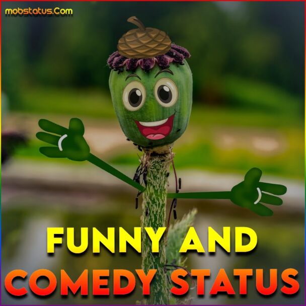 comedy status video download sharechat