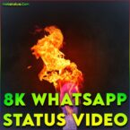 8k Whatsapp Status Video