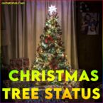 Christmas Tree Full Screen Whatsapp Status Video