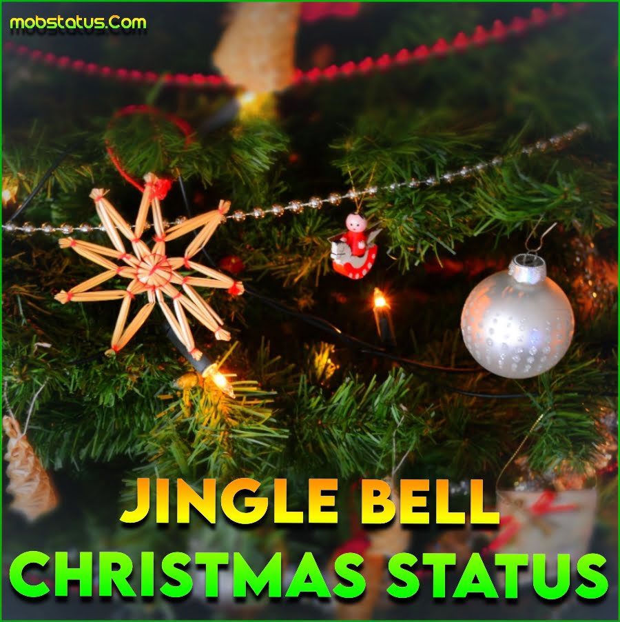 Jingle Bell Christmas Special Whatsapp Status  Video