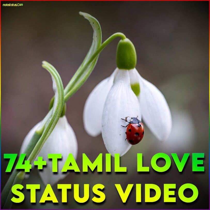 tamil new love songs whatsapp status video download sharechat