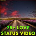 Love Status Video For Whatsapp