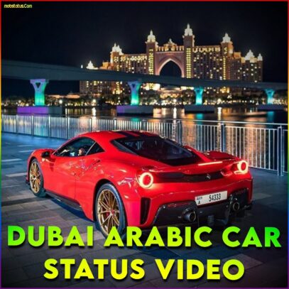 dubai car drive status