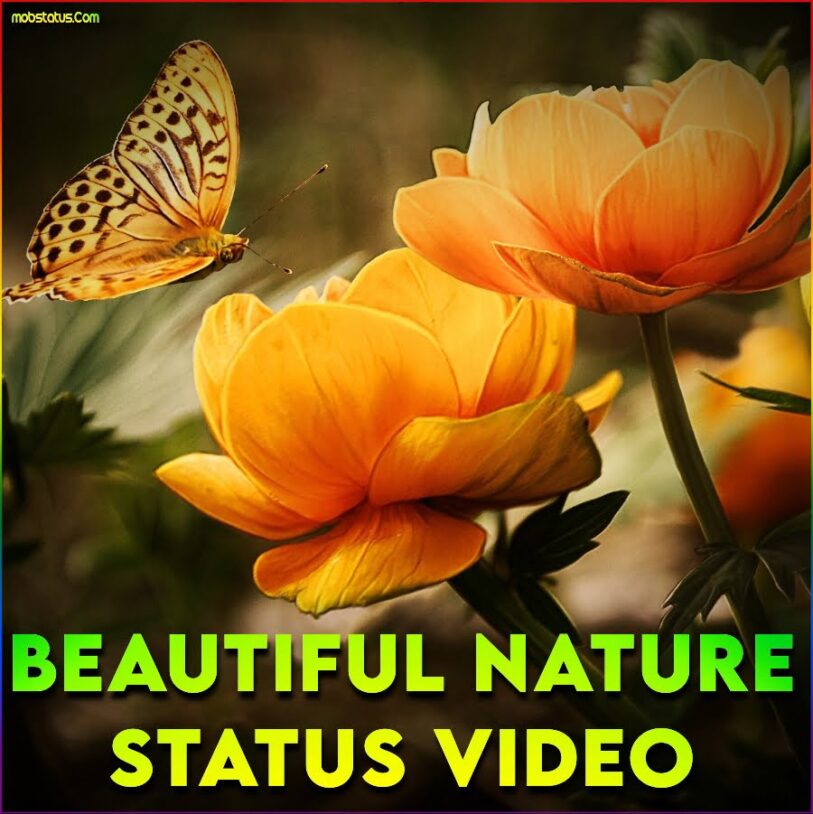 Beautiful Nature Whatsapp Status Video Download, 4k Full Screen