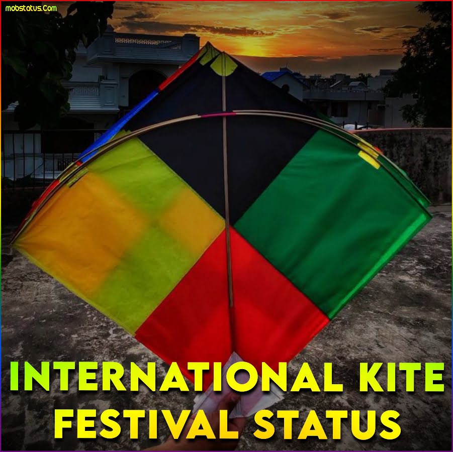 International Kite Festival Status Video
