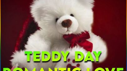 Teddy Day Romantic Love Whatsapp Status Video