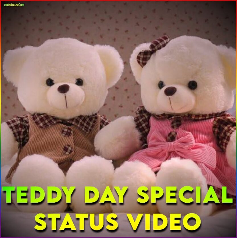 Teddy Day Special 4k Full Screen Whatsapp Status Video Hd