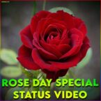Rose Day Special 4k Full Screen Whatsapp Status Video