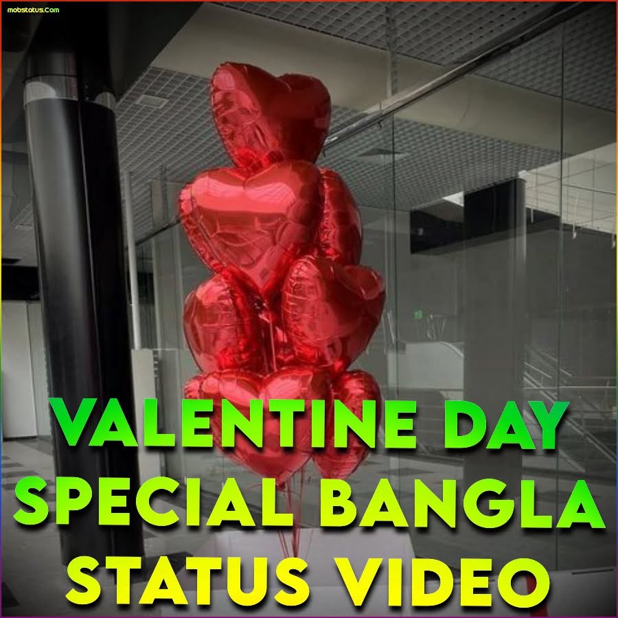 Valentine Day Special Bangla Whatsapp Status Video