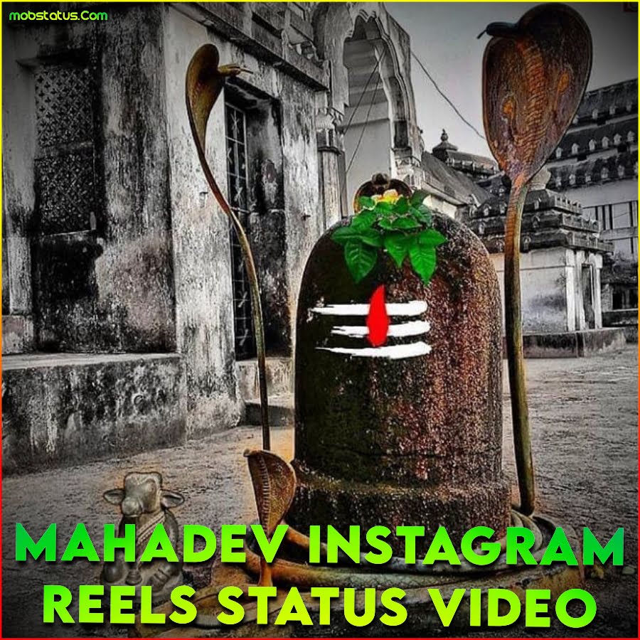 Mahadev Instagram Reels Status Video