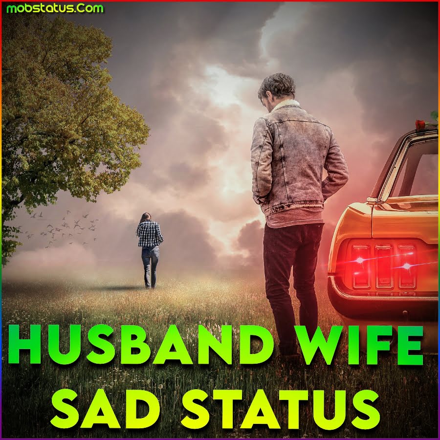 Husband Wife Sad Emotional Status Video