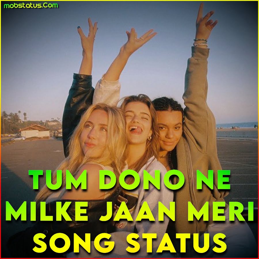 Tum Dono Ne Milke Jaan Meri Song Status Video