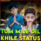 Tum Mile Dil Khile Whatsapp Status Video