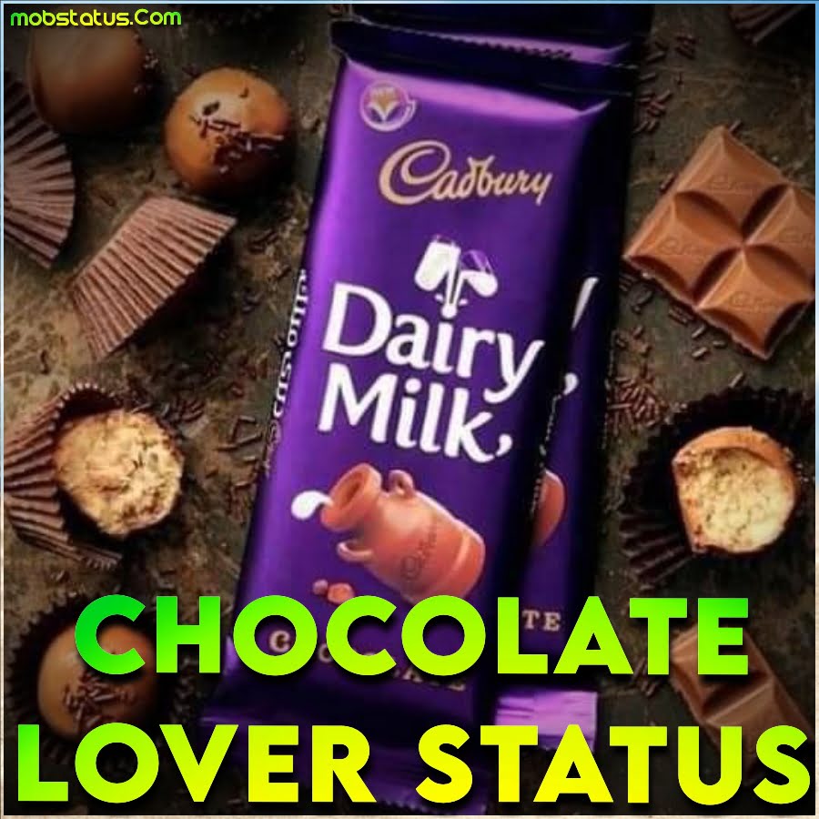Best Chocolate Lover Cute Whatsapp Status Video