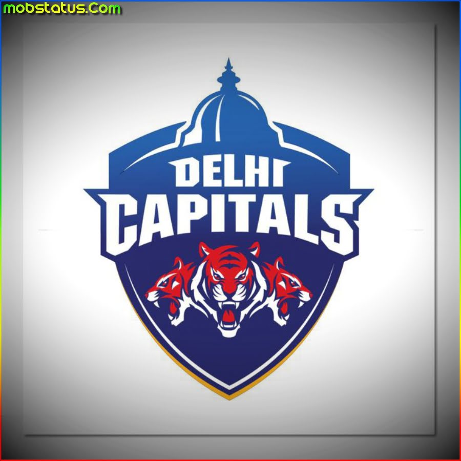 Delhi Capitals IPL 2024 WhatsApp Status Video
