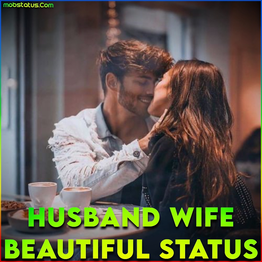 Husband Wife Love Beautiful Whatsapp Status Video, Full Screen