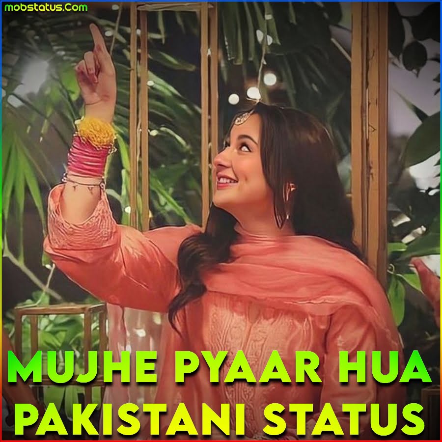 Mujhe Pyaar Hua Tha Pakistani Drama Status Video