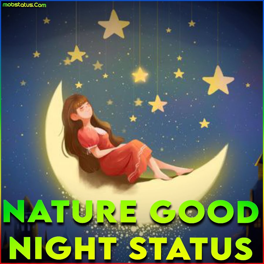 Nature Good Night Whatsapp Status Video