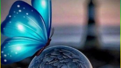 Beautiful Butterfly Whatsapp Status Video