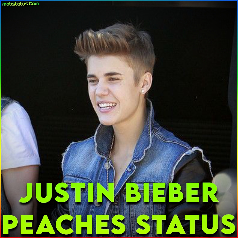 Justin Bieber Peaches Song Status Video
